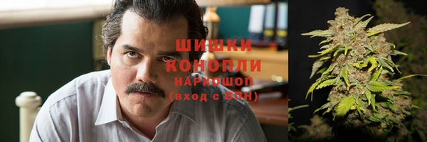 соль ск Осташков