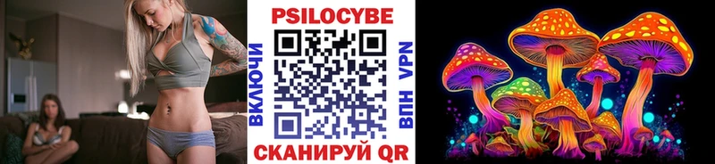 кракен вход  Рошаль  Псилоцибиновые грибы Psilocybine cubensis  купить закладку 